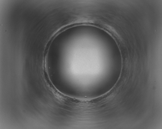 X0000071341220200606231129