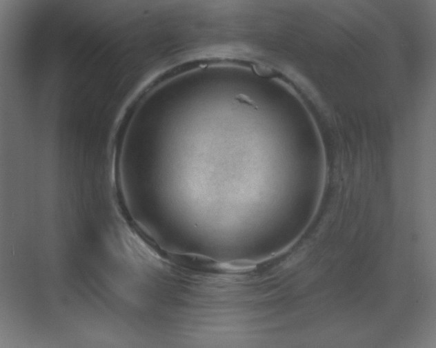 X0000071341224200606231129