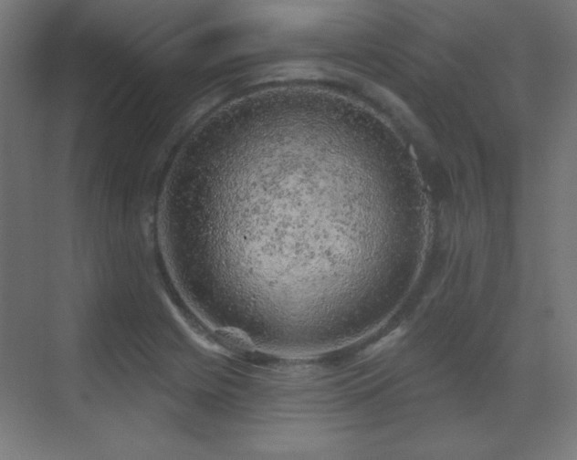 X0000071341225200606231129