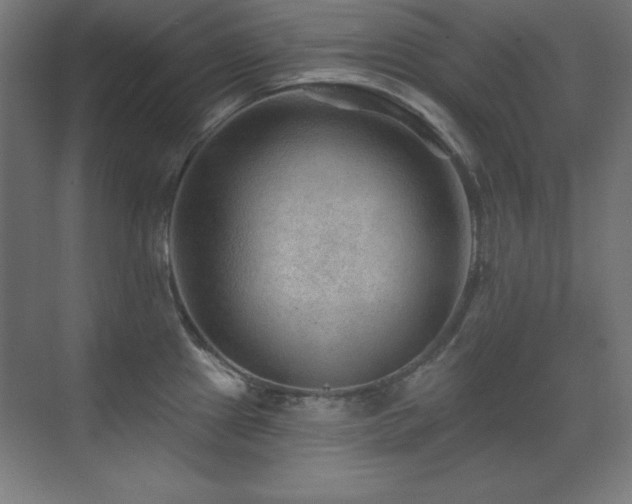 X0000071341241200606231130