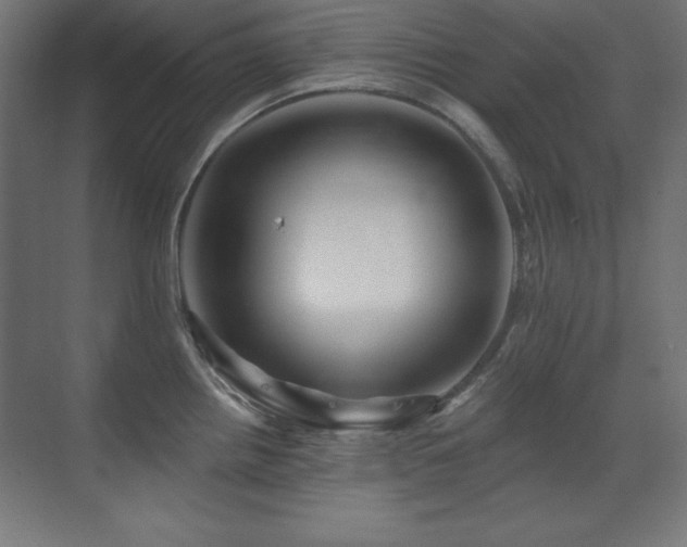 X0000071341242200606231130