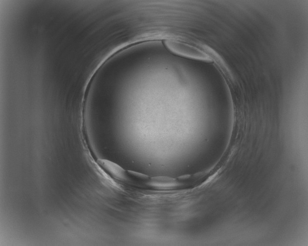 X0000071341244200606231130