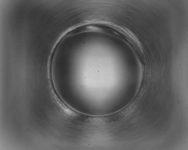 X0000071341246200606231130
