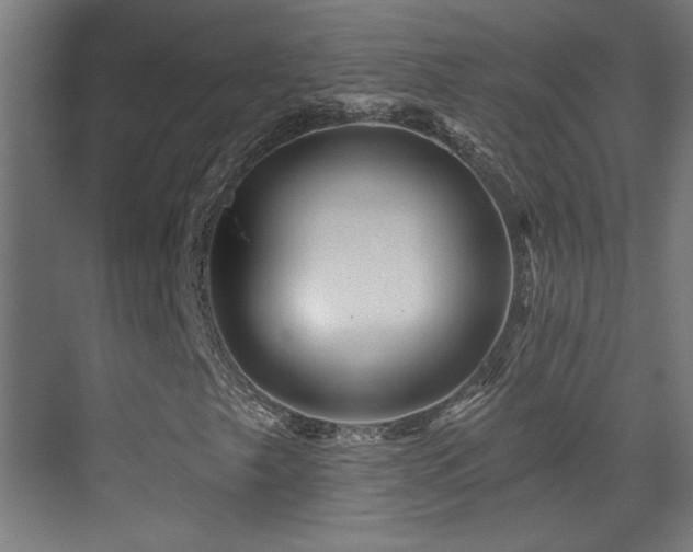 X0000071341249200606231129