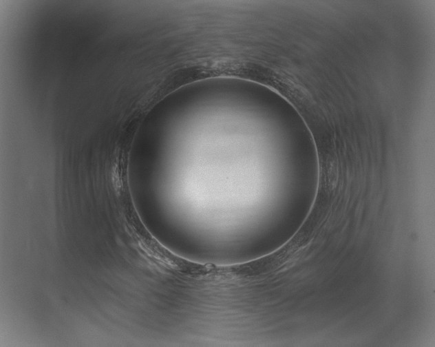 X0000071341250200606231129