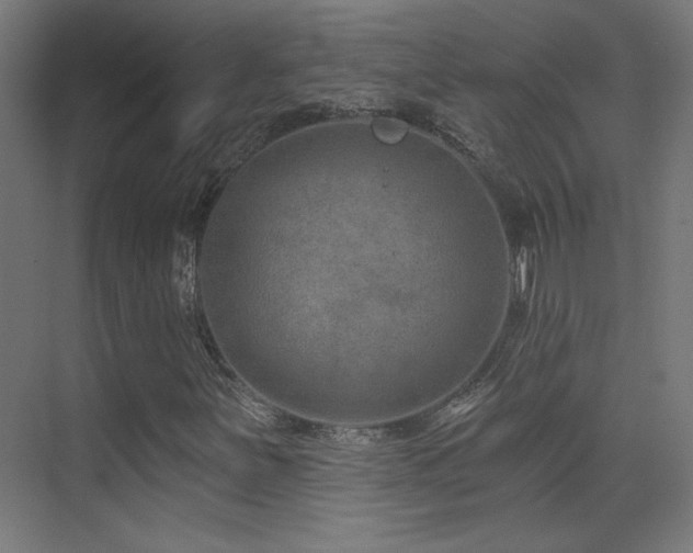 X0000071341251200606231129