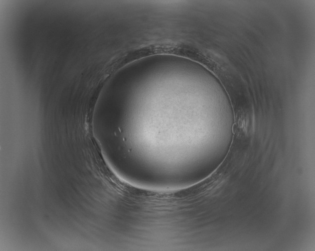 X0000071341252200606231129