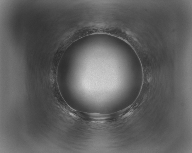 X0000071341253200606231129