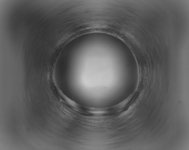 X0000071341257200606231129