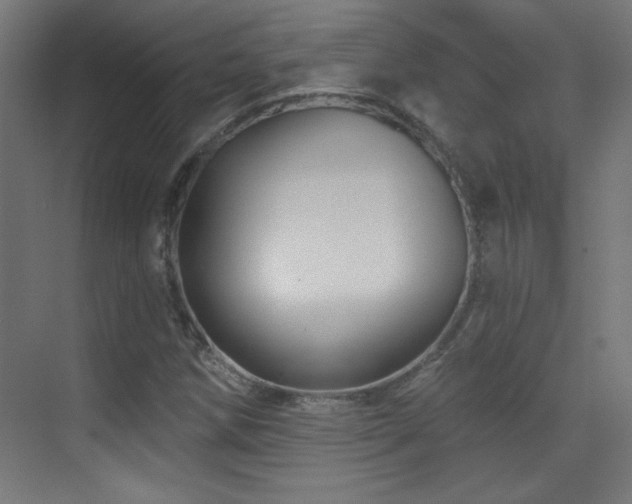 X0000071341258200606231129