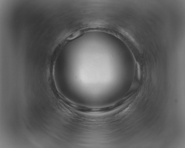 X0000071341261200606231129