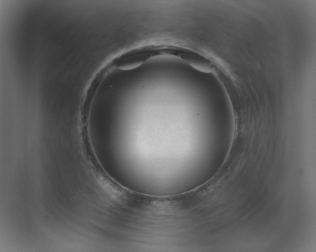 X0000071341264200606231129