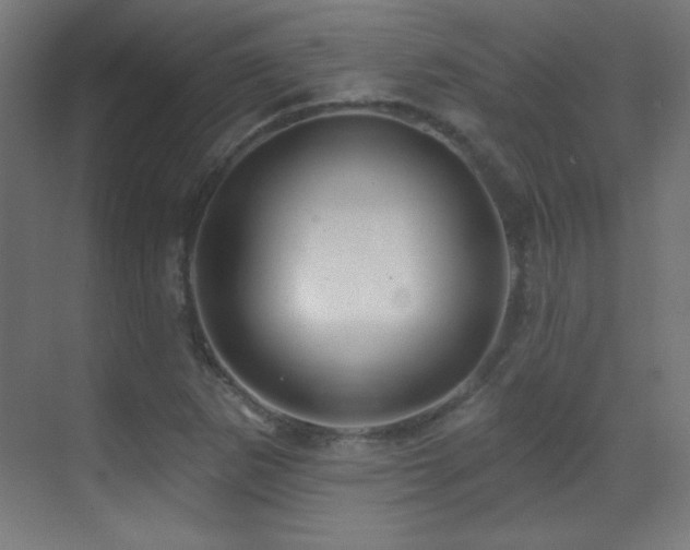 X0000071341265200606231129