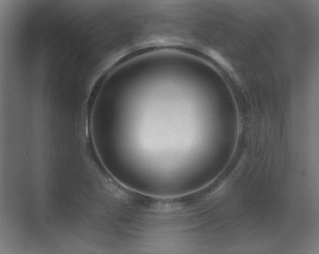 X0000071341269200606231129