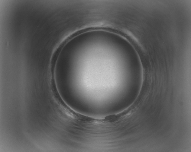 X0000071341270200606231129