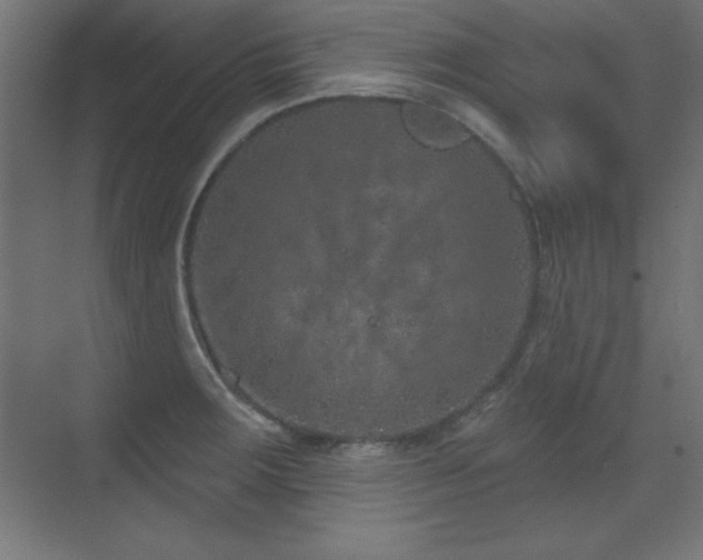 X0000071341283200606231128