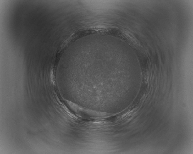 X0000071341298200606231127