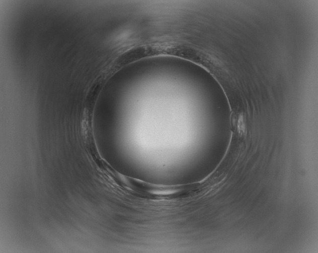 X0000071341299200606231127