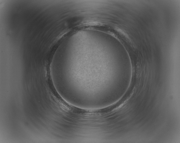 X0000071341305200606231128