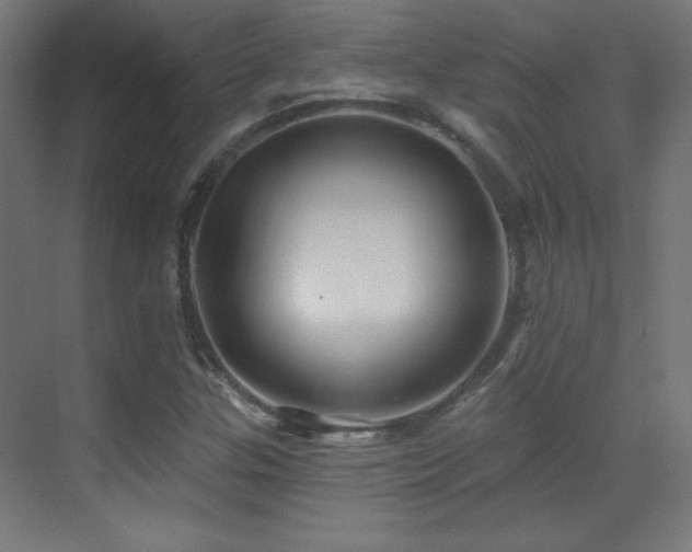 X0000071341307200606231128