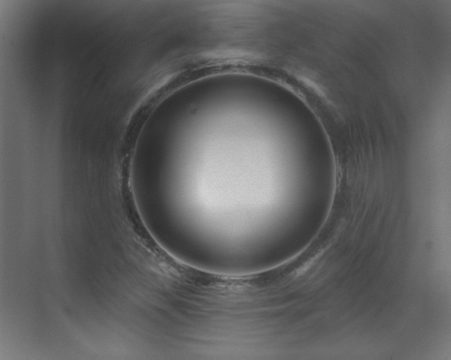 X0000071341309200606231128