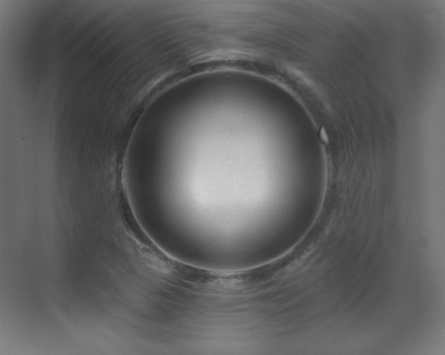 X0000071341313200606231128