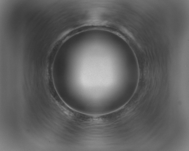 X0000071341315200606231128