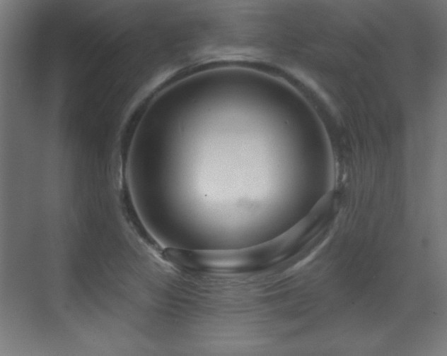 X0000071341317200606231128