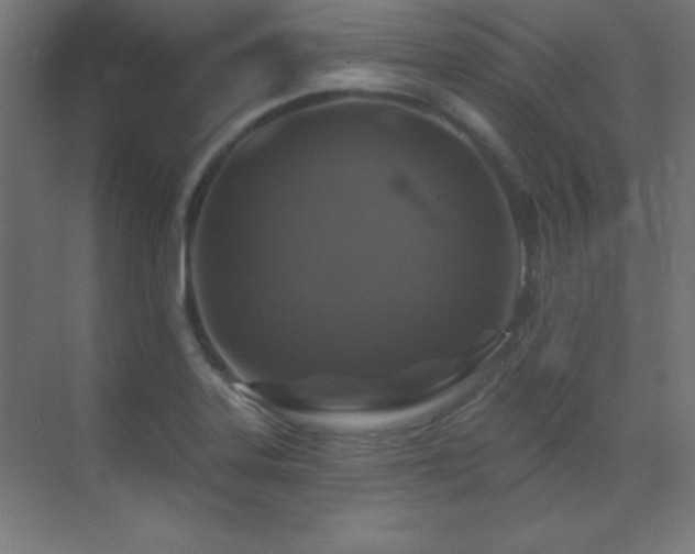 X0000071341323200606231128