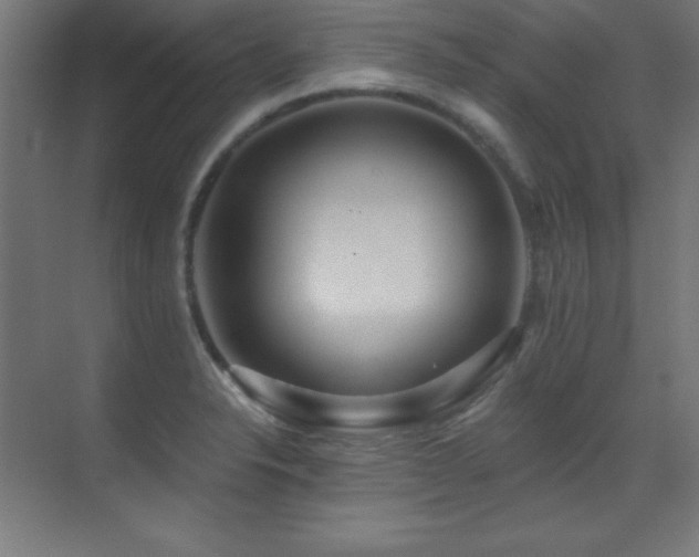 X0000071341326200606231128