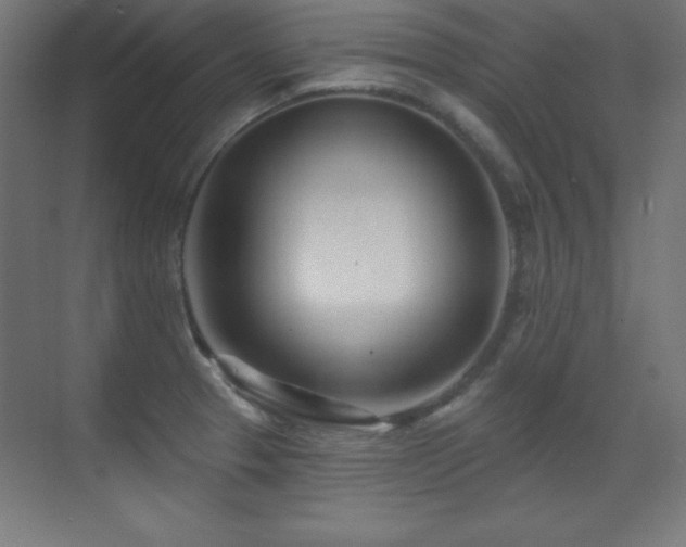 X0000071341329200606231128