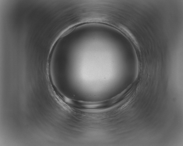 X0000071341340200606231128