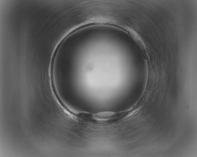 X0000071341343200606231128