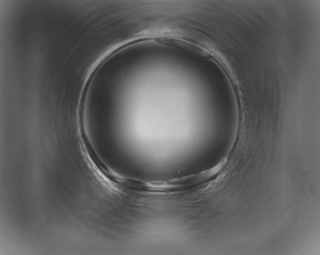 X0000071341344200606231128