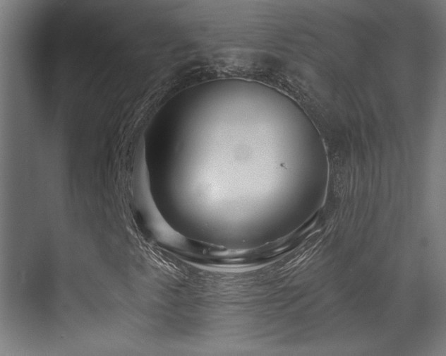 X0000071341345200606231127