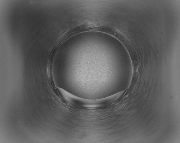 X0000071341348200606231127