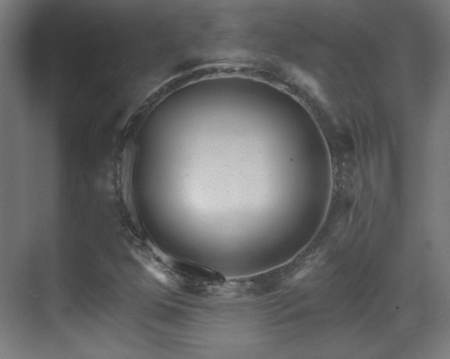 X0000071341352200606231127