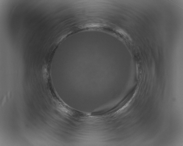X0000071341353200606231127