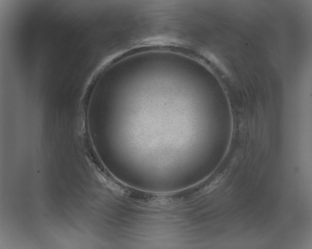 X0000071341358200606231127