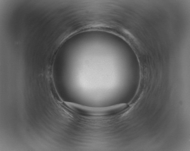 X0000071341361200606231127