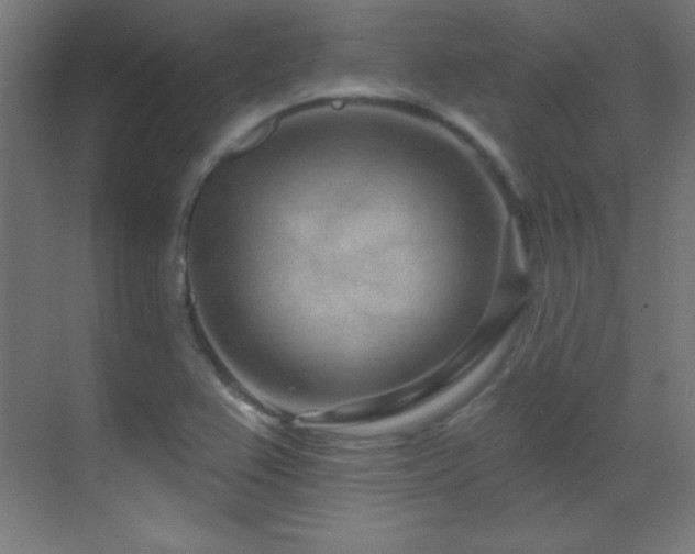 X0000071341367200606231127