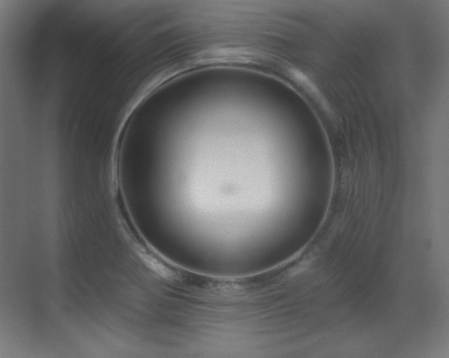 X0000071341370200606231127
