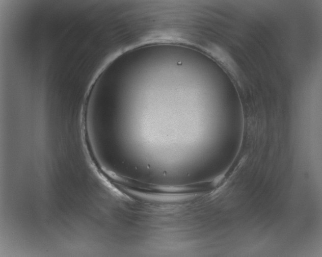 X0000071341382200606231127