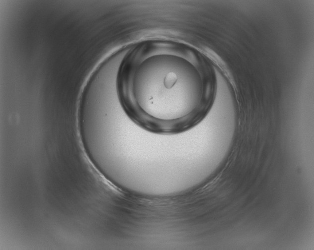 X0000071341384200606231127