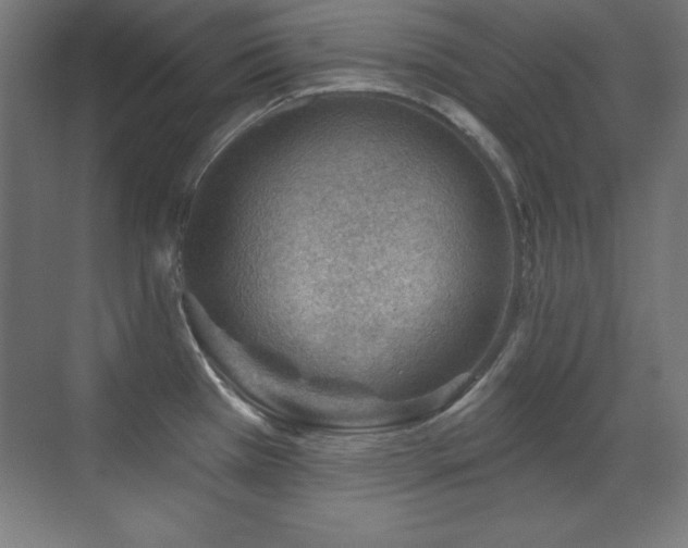 X0000071341385200606231127