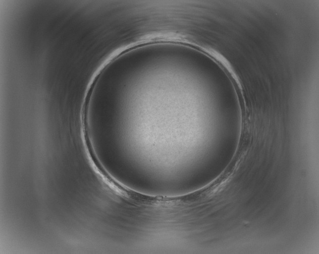 X0000071341389200606231127
