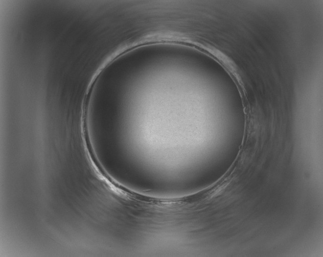 X0000071341390200606231127