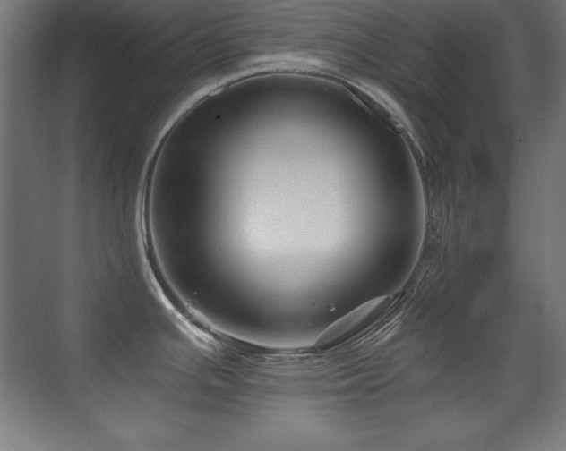 X0000071341391200606231127
