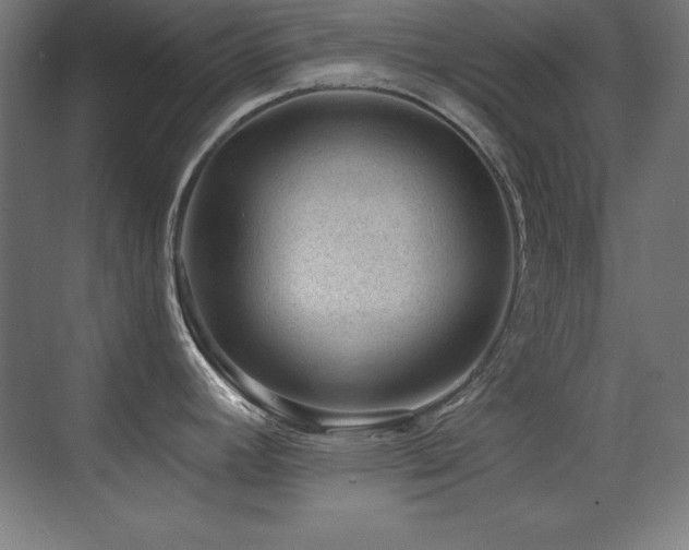 X0000071341392200606231127