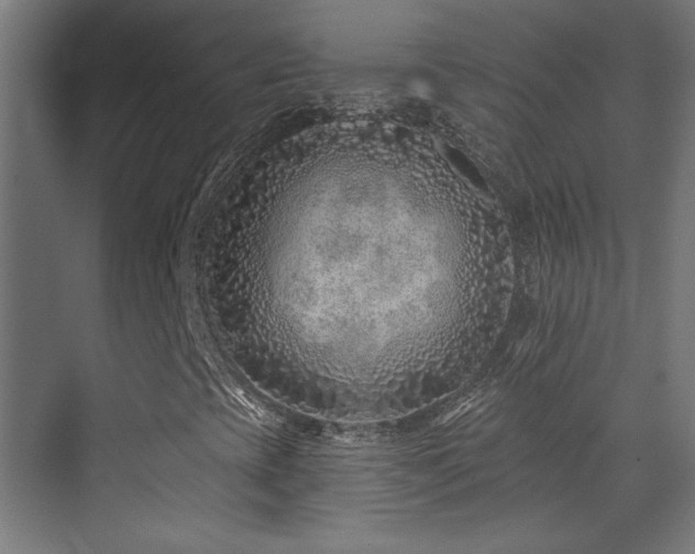 X0000071341393200606231126